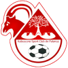 多伦多FC